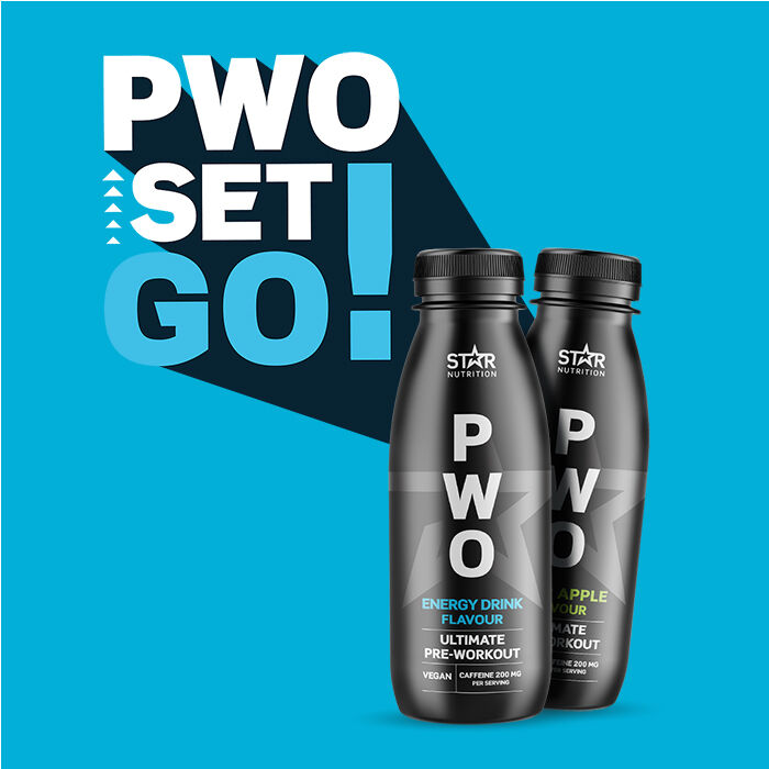 PWO Drink 330 ml Energy flavour