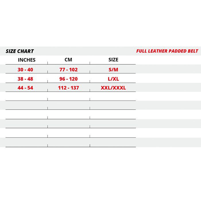 6 Inch Polstret Tr&aelig;ningsb&aelig;lte L&aelig;der Sort/Guld