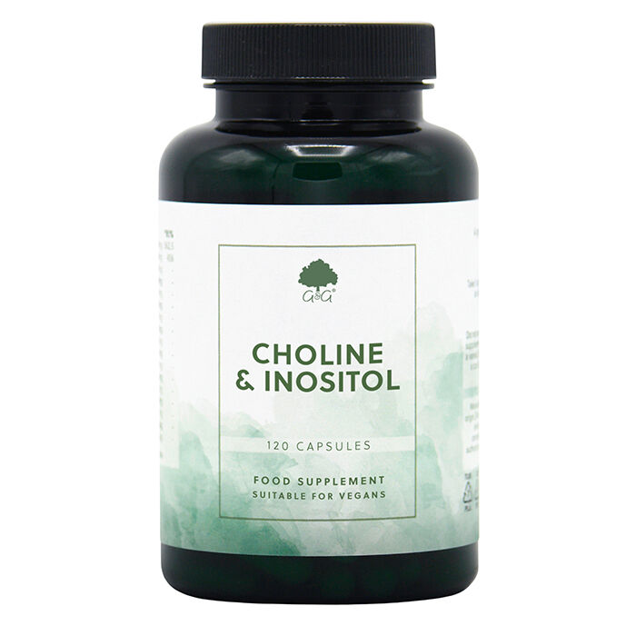 Choline 250mg & Inositol 250mg 120 kapsler