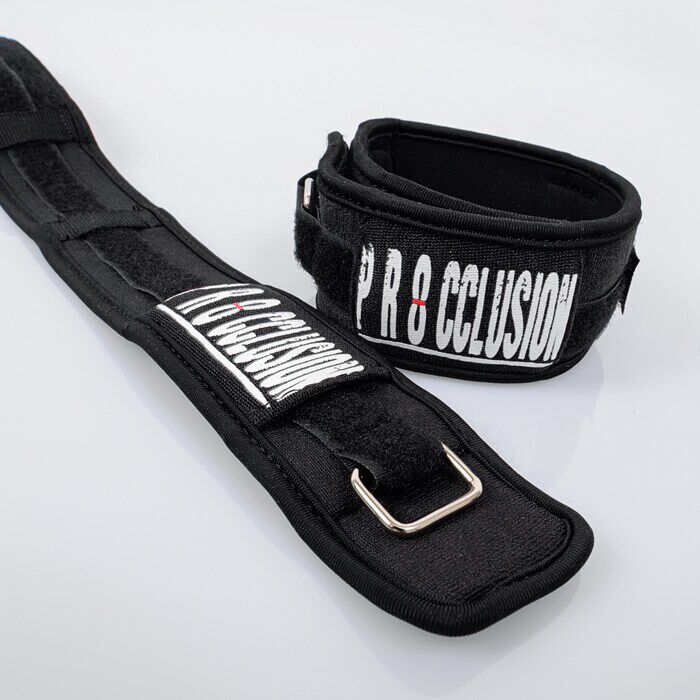 Procclusion 1.0, sort