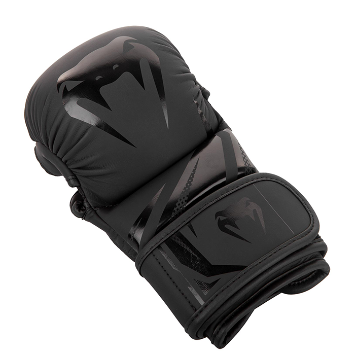 Sparring Gloves Challenger Boksehandsker 3.0, Sort/Sort
