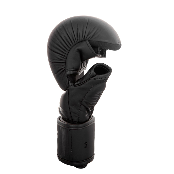 Sparring Gloves Challenger Boksehandsker 3.0, Sort/Sort